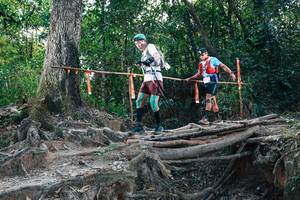 BIB: 
                            <button type="button" onclick="openModal(27806950)" class="btn btn-primary btn-sm float-right btn-popup" data-toggle="modal" data-target=".modal-high-quality">
                        <i class="fas fa-shopping-cart"></i> Add to Cart
                    </button>
                                            <button type="button" onclick="isThisMe(27806950, true)" class="btn btn-success btn-sm float-right btn-popup btn-isme hidden" data-toggle="tooltip" data-placement="bottom" title="นี่คือรูปของคุณใช่ไหม คลิกที่นี่เพื่อเอาเข้าอัลบั้ม">
                        <i class="fas fa-plus"></i> Add to album
                    </button>
                    <button type="button" onclick="isThisMe(27806950, false)" class="btn btn-warning btn-sm float-right btn-popup btn-isnotme hidden">
                        <i class="fas fa-ban"></i> Remove from album
                    </button>